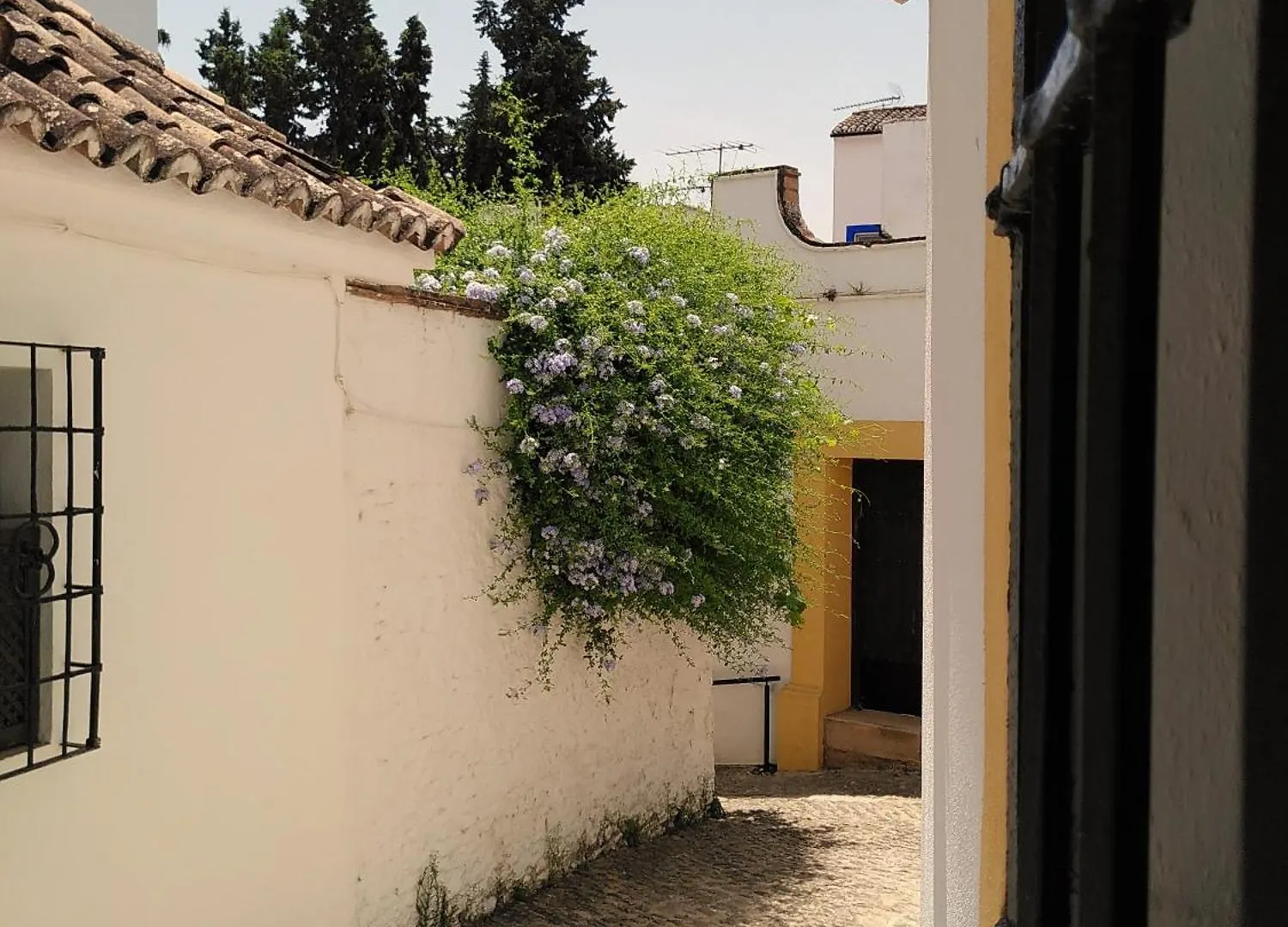 Baraka Boutique Pension Ronda Spain