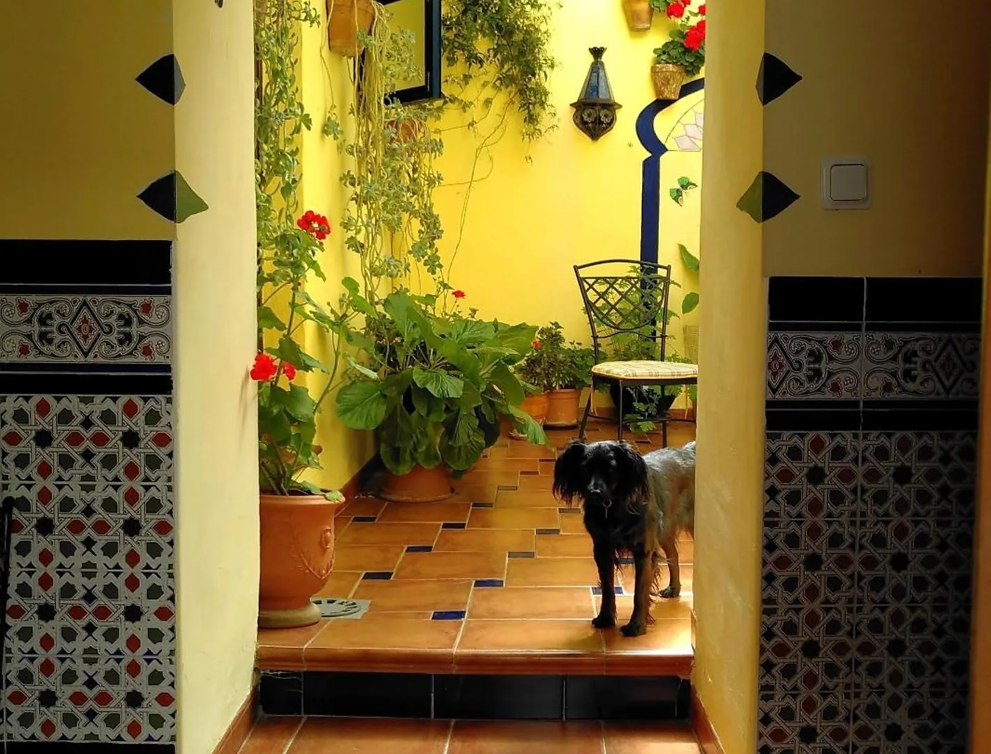 Guest house Baraka Boutique Pension Ronda